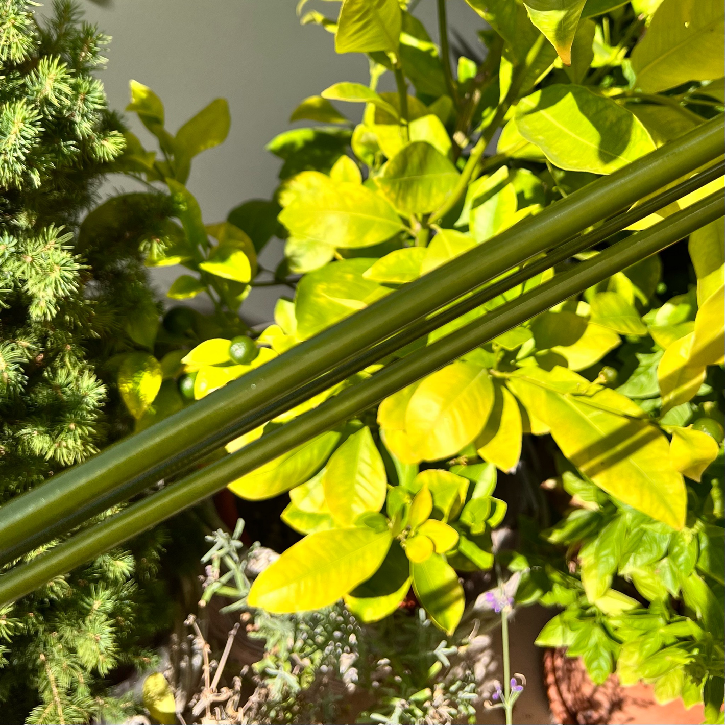 Hitokiri Baitcasting / Spinning BFS Blank 6,3ft 1-8gr. 3 tlg