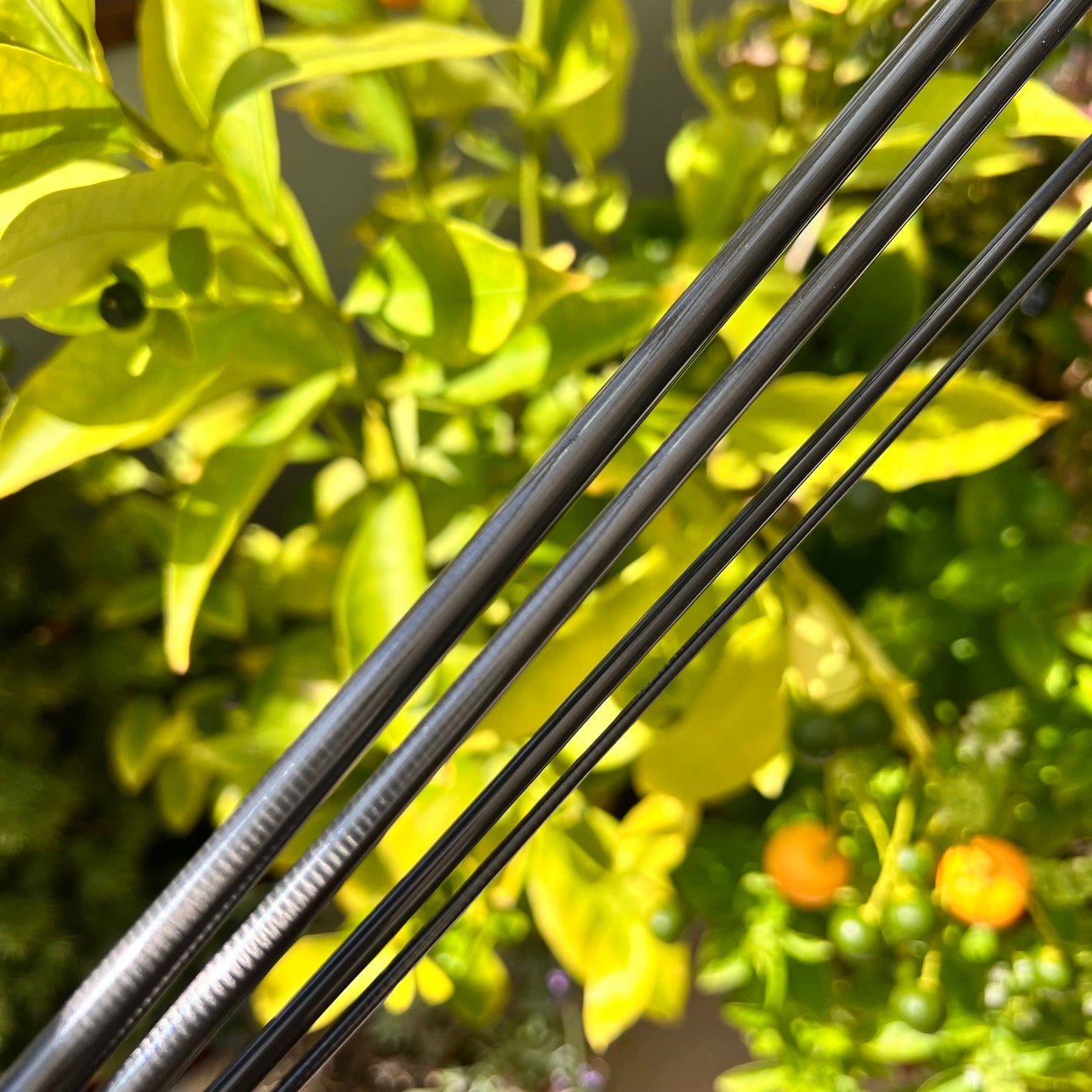 Element 23 - ULTRALIGHT Series 662-4 Torray Fly Rod Blank