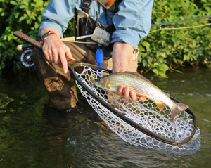 Fishpond - Nomad Emerger NET Landing Net Brown Trout